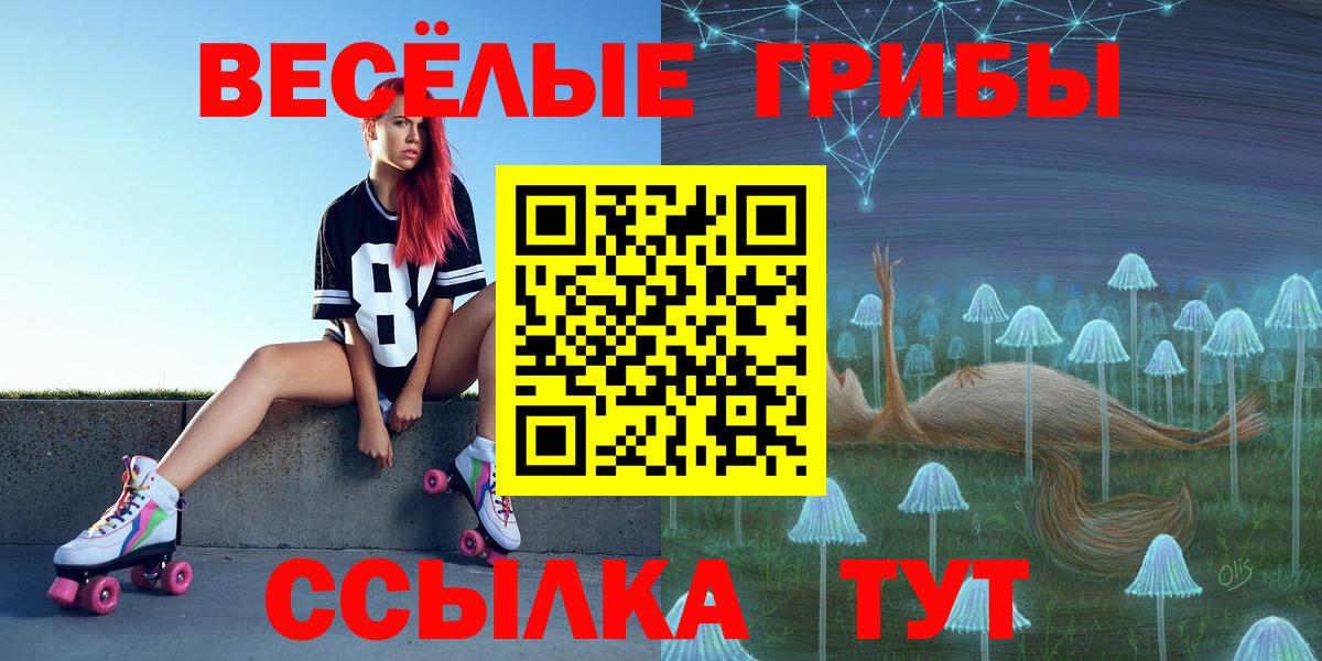 Галлюциногенные грибы прущие грибы  Вход с VPN  Алейск 